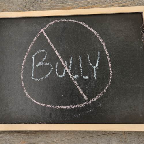 Bullying Prevention, Intervention and Follow up Plan