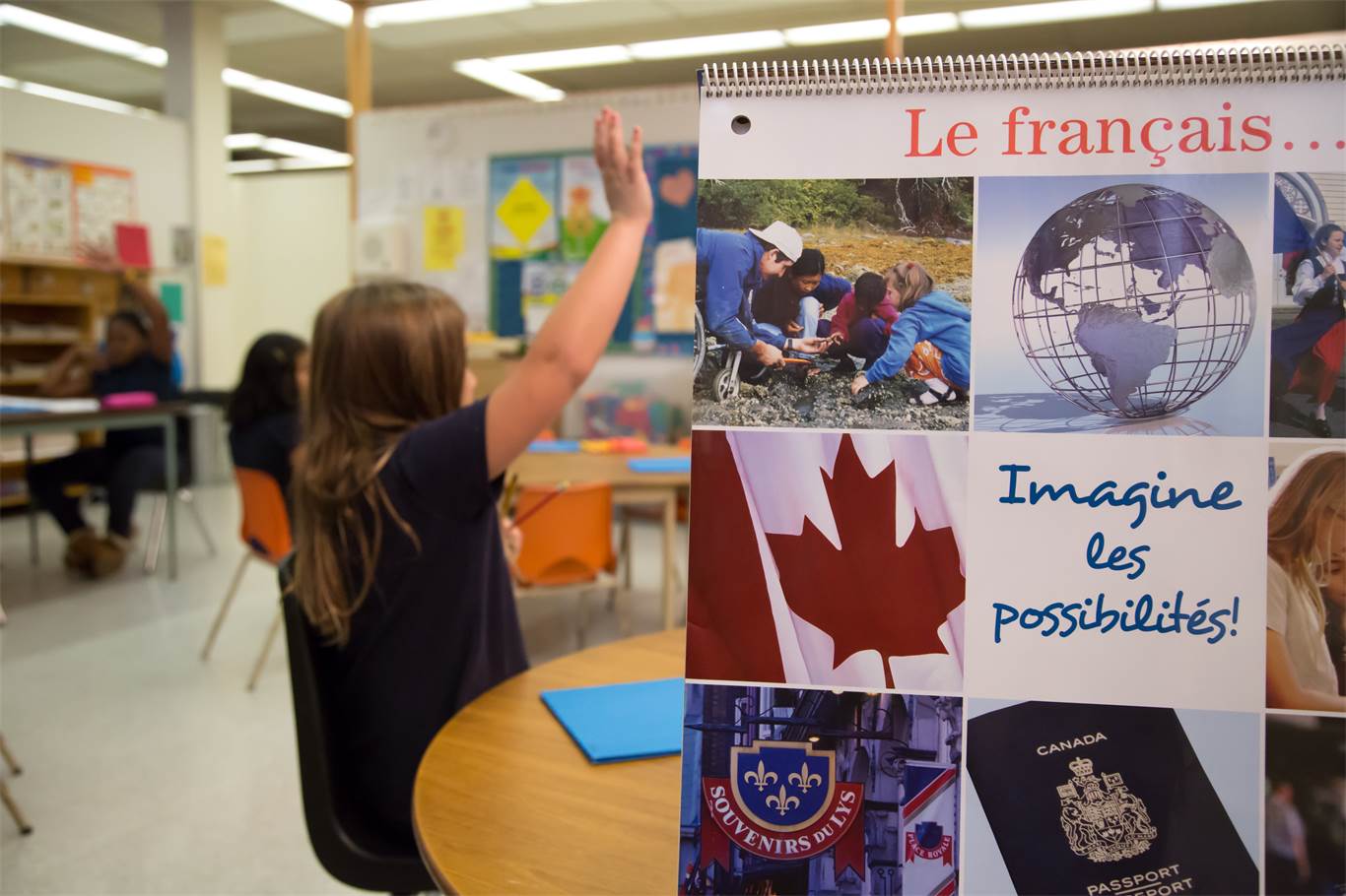 Overview of the Early French Immersion Program