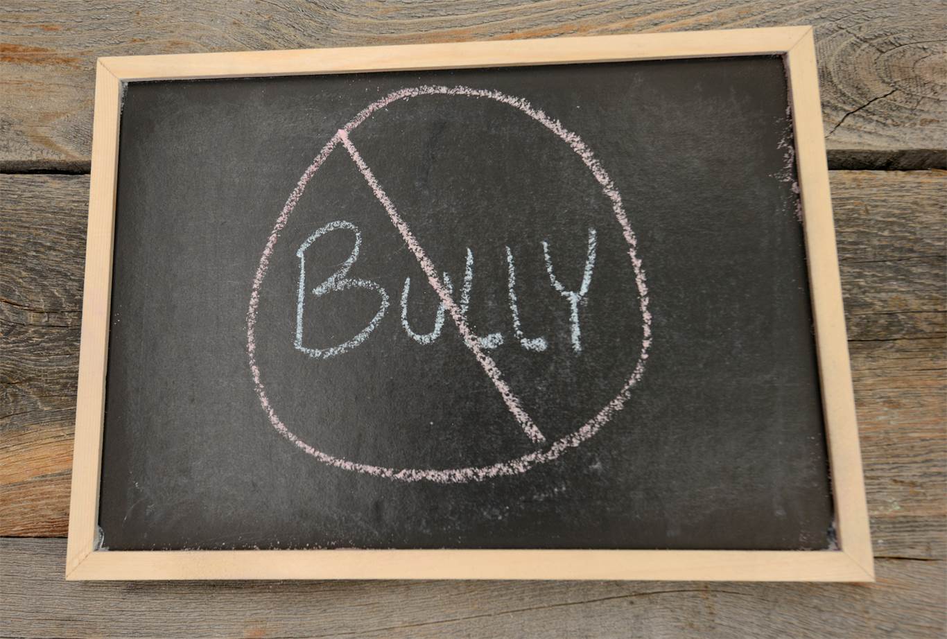 Bullying Prevention, Intervention and Follow up Plan